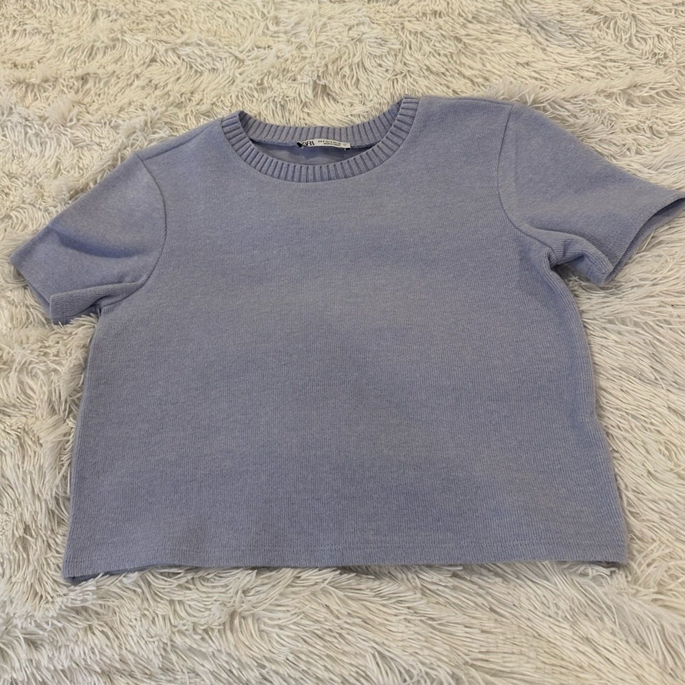 zara lilac purple cropped T-shirt D